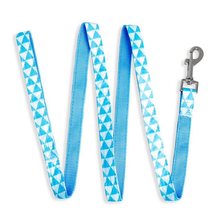 Correa Geom¨¦trico Azul