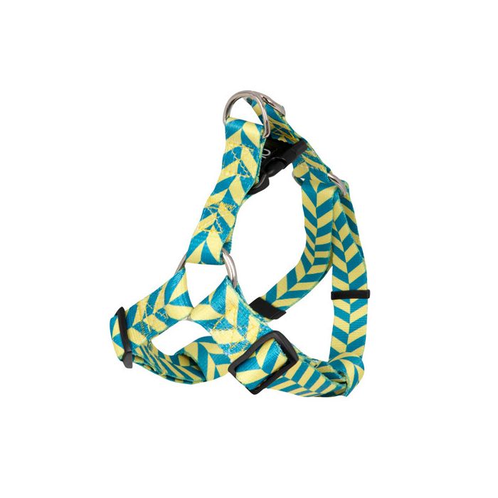 Arn¨¦s Stripes Amarillo y Azul