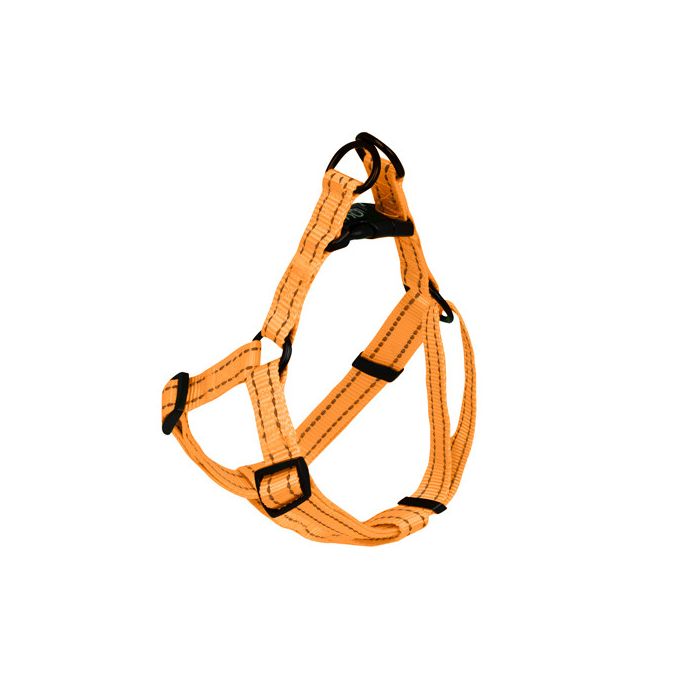 Arn¨¦s Reflectante Naranja