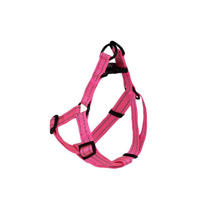Arn¨¦s Reflectante Rosa