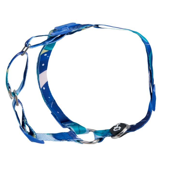 Arn¨¦s Algas Azul