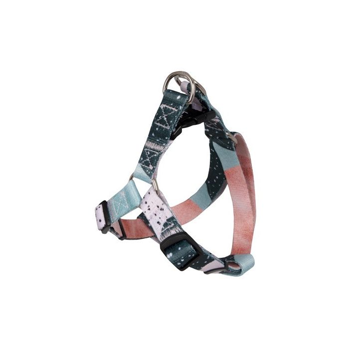 Arn¨¦s Motas Gris